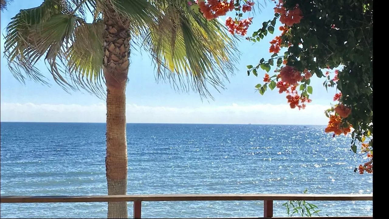 Mi Capricho A16 Beachfront Apartment Sitio de Calahonda スペイン